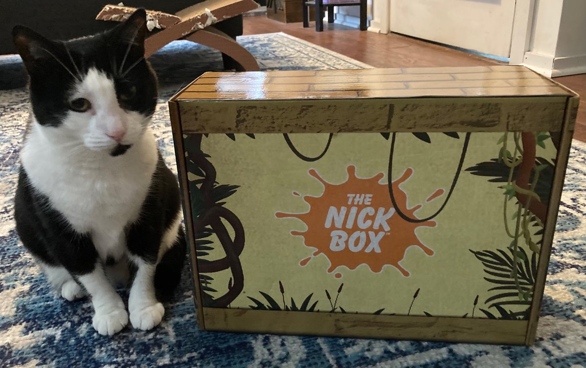 NoodleBrigade's tweet photo. Here is my cat. Here is the Nick Box I’m going to be unboxing at 6:00PM EST! Come hang and no spoilers please! Link in bio! https://t.co/0G0Ws6zkRh