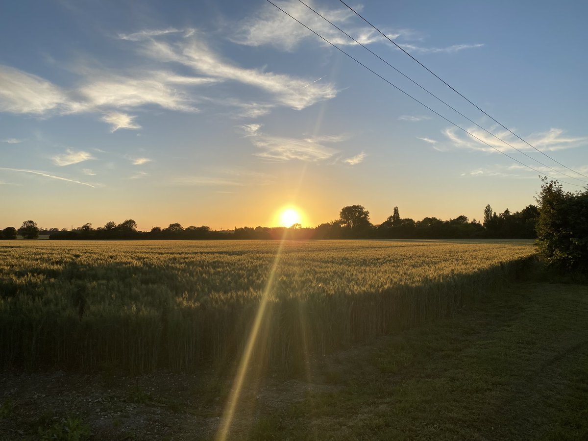 lcmporter's tweet photo. Green. Itโs still good. #RuralRunning ๐โโ๏ธ https://t.co/W4ixHBFqWp