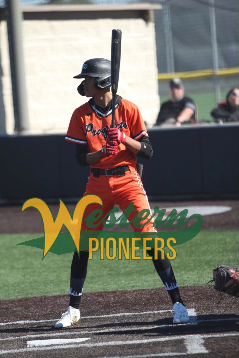 Diamond Prospects tweet media