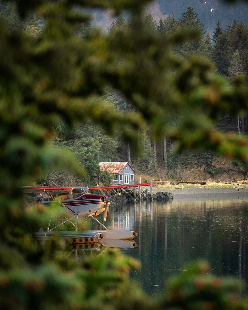floatplanes's tweet photo. Out fishing ?
If this was your cabin, and
if you were flying here, and
if your week starts like this, 

you’ll probably have to make space for all the salmon. 

#aviation #cabinlife #cabin #floatplane #seaplane #alaska #wilderness #cabinchronicles #cabin… https://t.co/LVd8r4T67M https://t.co/2AKXlkL9vY
