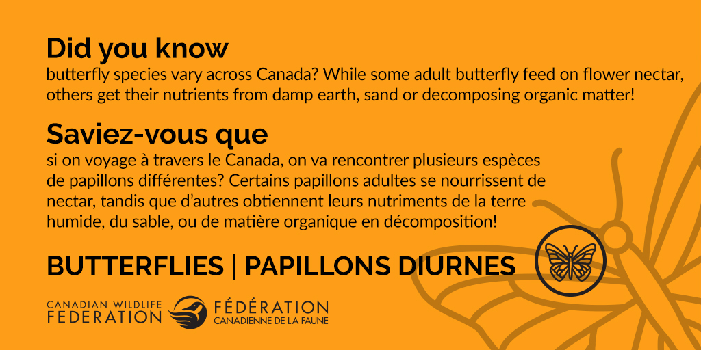Canadian Wildlife Federation tweet media