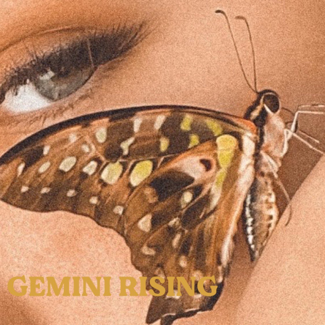 kt herrick tweet media