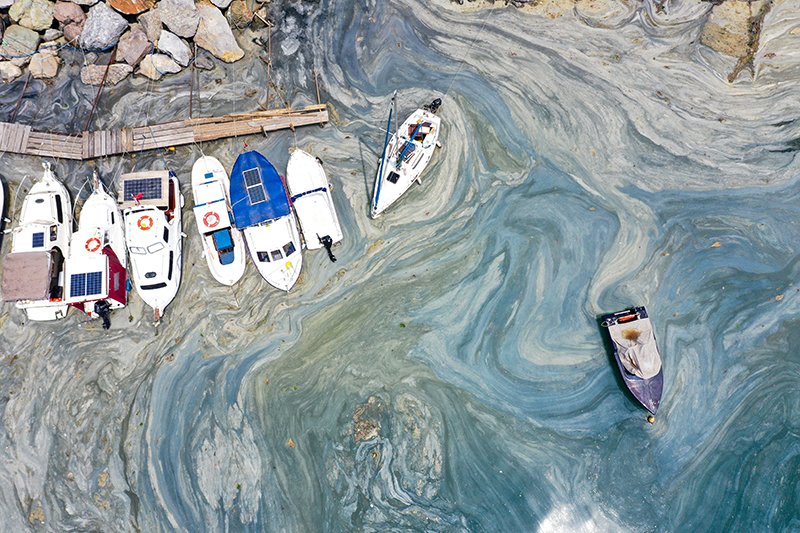 Müsilaj Van Gogh tablosuna çevirmiş denizi