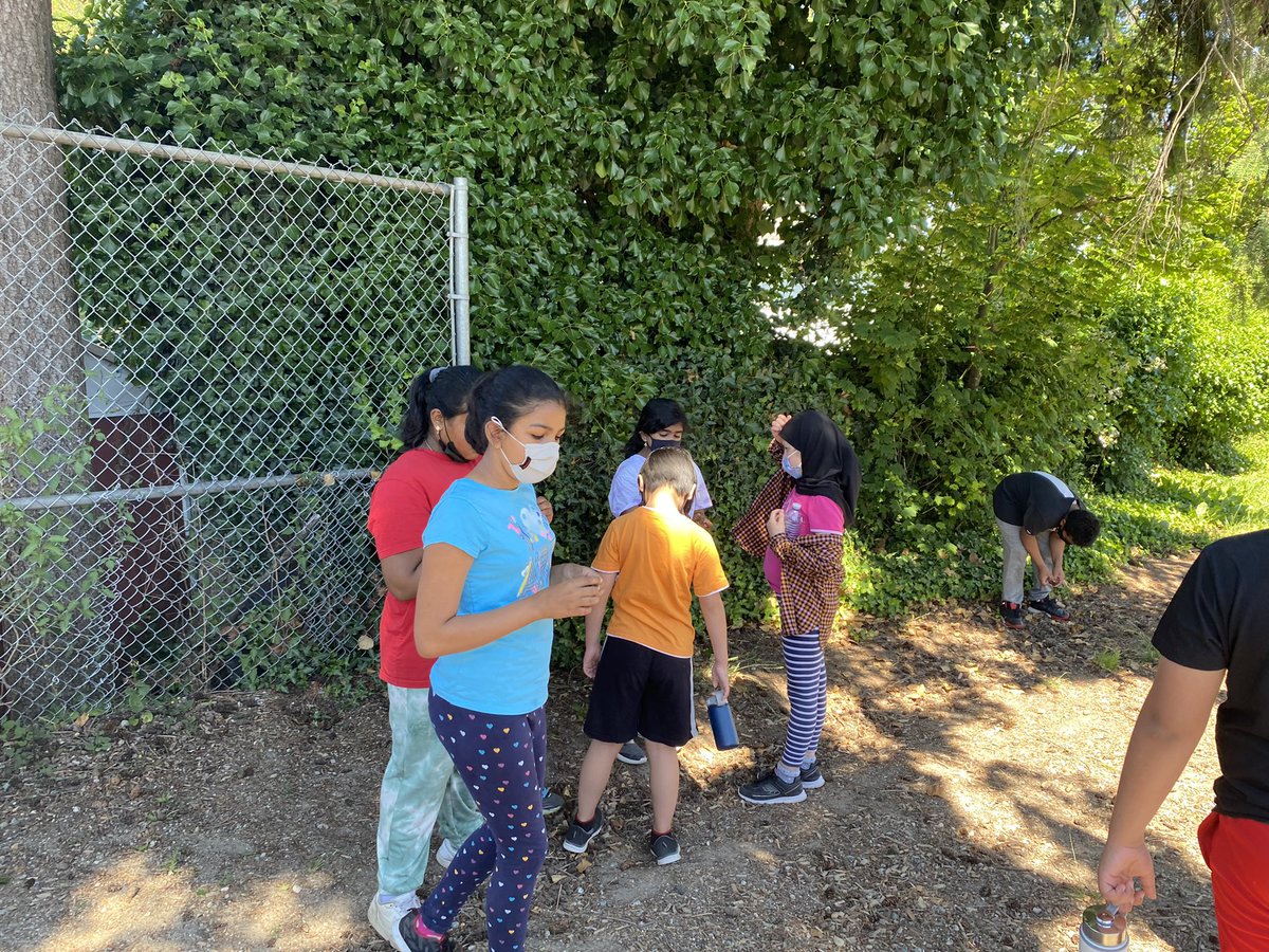 Maneek Chahal tweet media