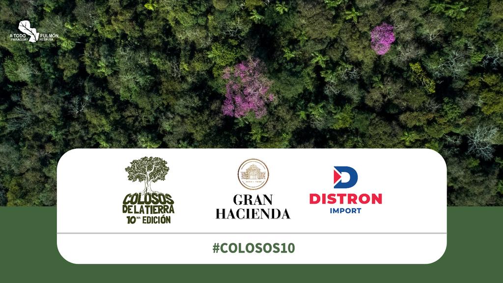 atodopulmonPY's tweet photo. Damos la bienvenida a #Distron como auspiciante de esta edición muy especial de Colosos de la Tierra 🌳🙂
#GuardianesDelFuturo
#Colosos10 https://t.co/p47uD25wBl