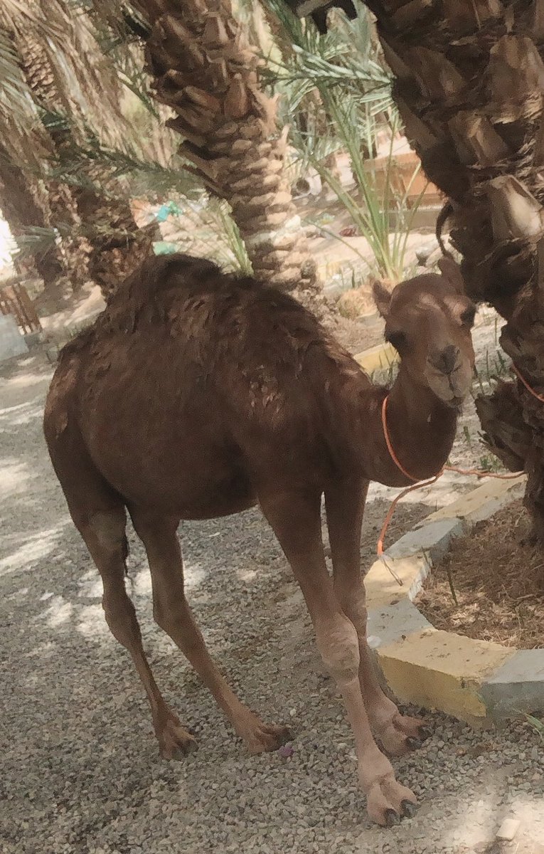 noOOouraaaaa's tweet photo. #باقى_التلتين https://t.co/cOneb7RNIO