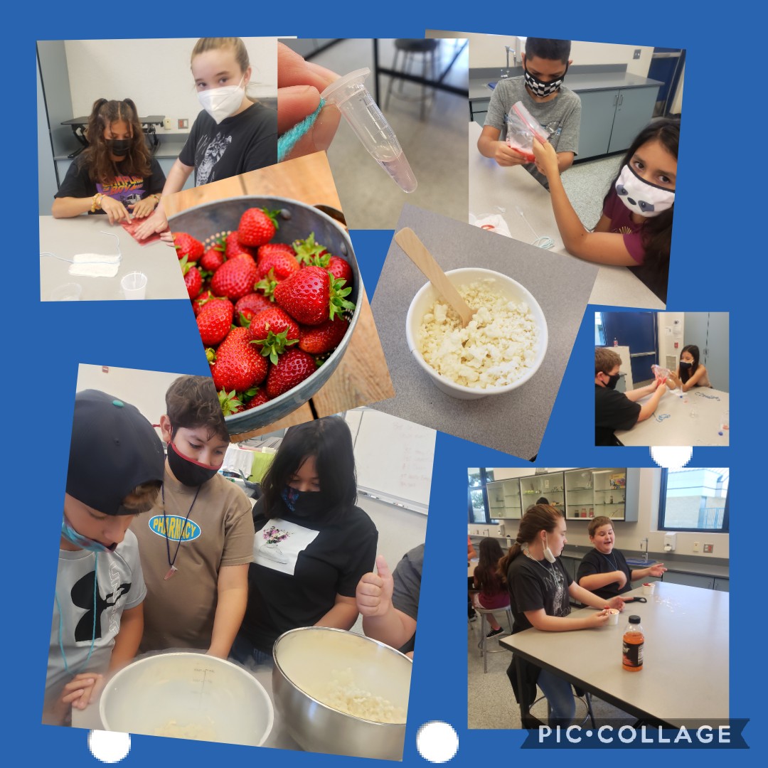 Kelly Lang (@kellydlang) on Twitter photo Another fantastic day! #bsdEnrichmentCamp students were hands on with Strawberry DNA extraction and making ice cream with liquid nitrogen, our own version of those little dot ice cream ๐๐จ <a href="/CaseyRangelBSD/">Casey Rangel</a> <a href="/BurtonSchools/">Burton Schools</a>
<a href="/cates_julie/">Julie Cates๐๐๐</a> Excited to start week 3 with another group! Another fantastic day! #bsdEnrichmentCamp students were hands on with Strawberry DNA extraction and making ice cream with liquid nitrogen, our own version of those little dot ice cream ๐๐จ <a href="/CaseyRangelBSD/">Casey Rangel</a> <a href="/BurtonSchools/">Burton Schools</a>
<a href="/cates_julie/">Julie Cates๐๐๐</a> Excited to start week 3 with another group!