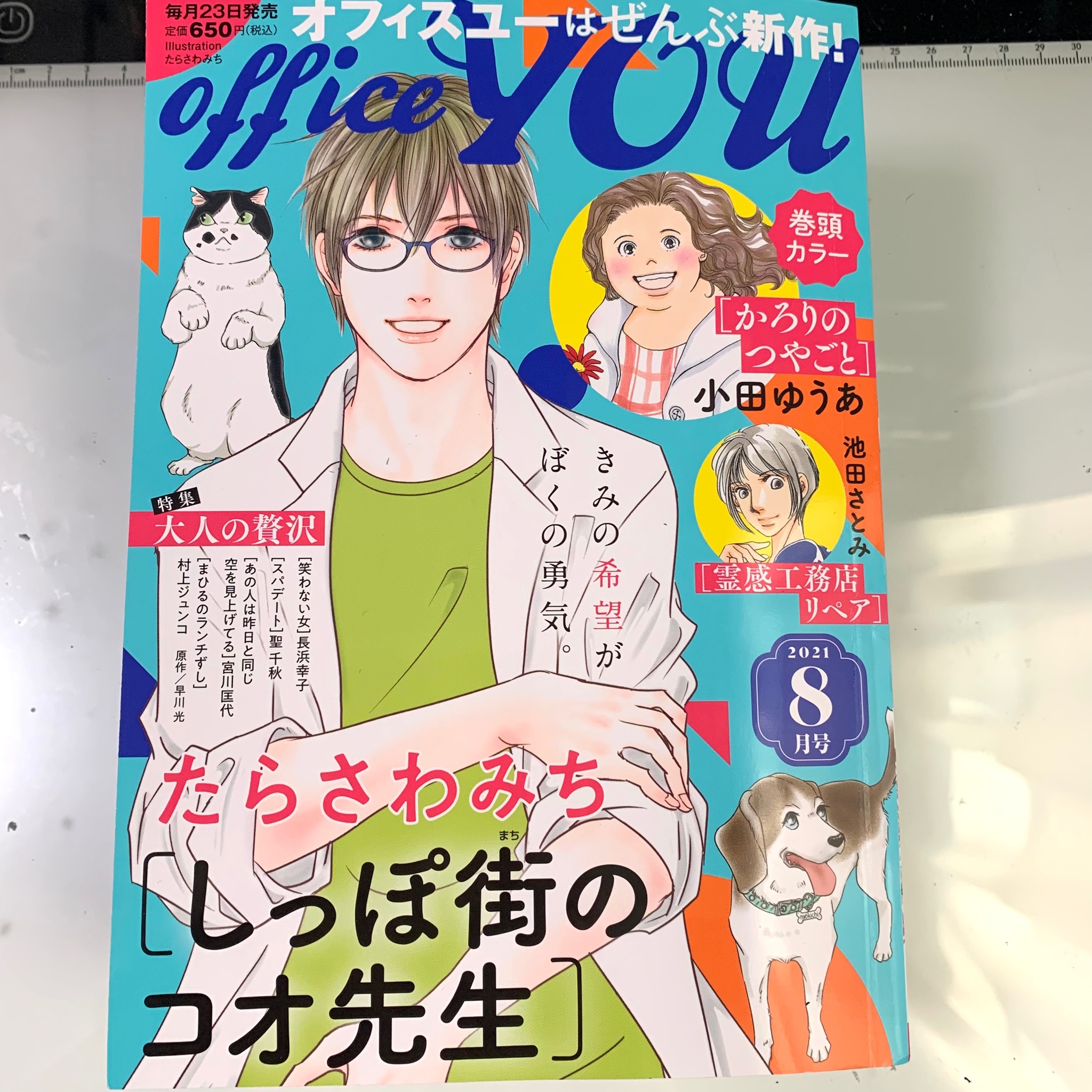 池田さとみ 今日発売 かな 霊感工務店リペア新作 描いてます T Co Cvtnprfwen Twitter