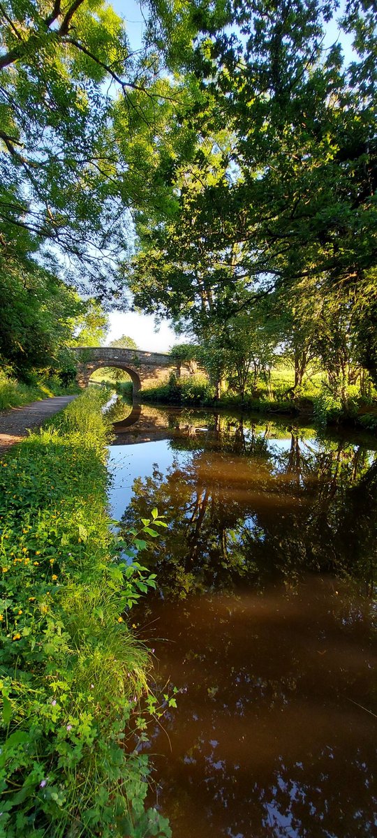 BorderlandCally's tweet photo. Total of 10 & half miles walked today.... #workingandwalking but only 5.9 matter for #HopeHouseMidsummerWalk
#legsareaching
https://t.co/JNFruJbu4h https://t.co/Fy8OODYj1Z