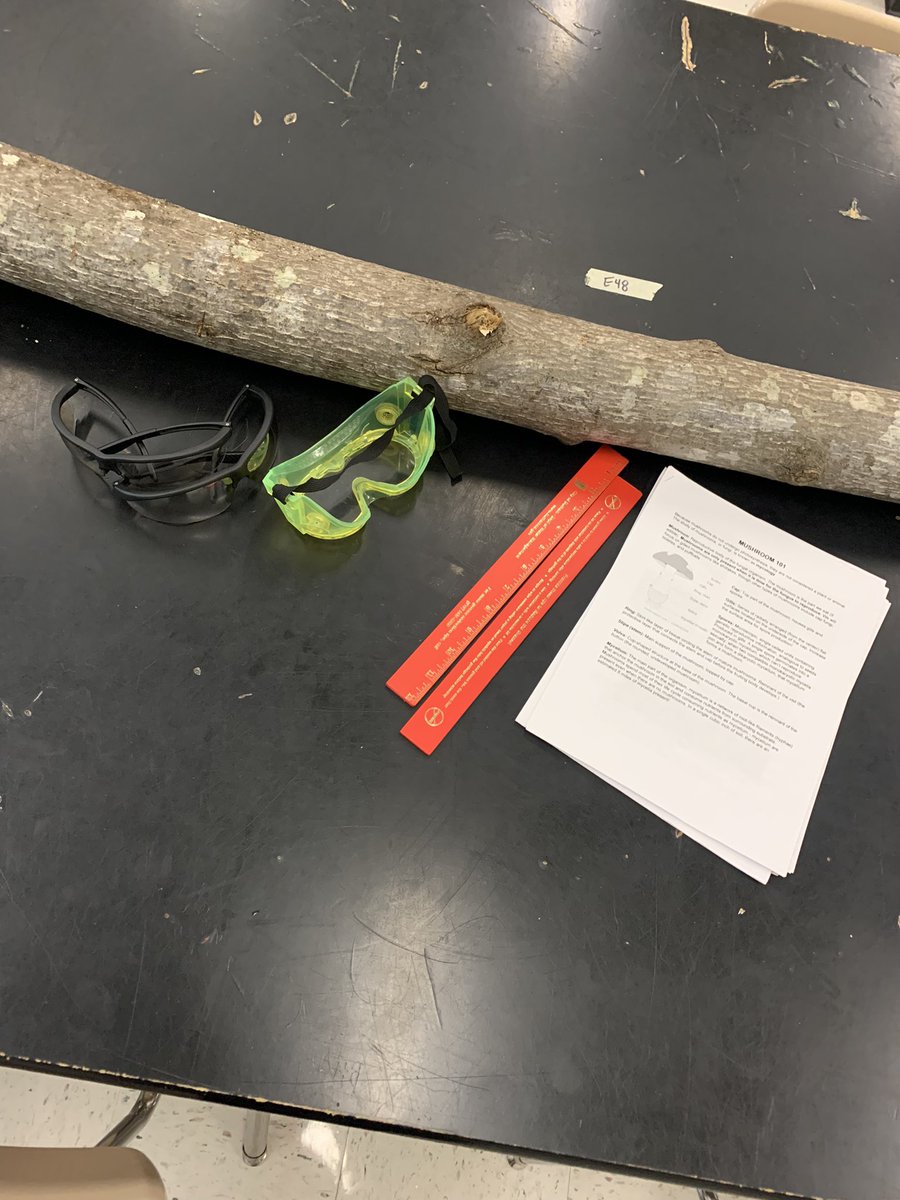 Tyler__DAngelo's tweet photo. Our Wildlife students @Carrington_DPS are studying mycology by learning the process of inoculating logs with shiitake mushrooms! Fungi are important in food and medicine production. @DurhamPublicSch #STEM 🪵🍄🔨 https://t.co/nnM7ovRXEY