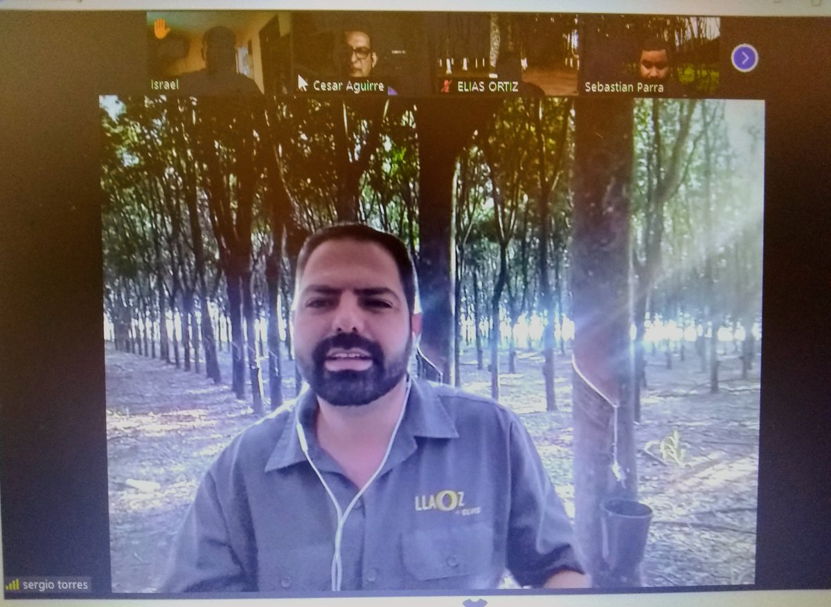 DelHule's tweet photo. CONCLUYÓ nuestra reunión virtual entre los acuerdos tomados se propone la creación de un padrón nacional de técnicos que supervise de 200 a 300 hectáreas por estado, además estipularse una propuesta de precios del hule @Sergiohulelatex @HuleNatural @PlantacionesV @beto_cardenasj https://t.co/fksgS3L8rC