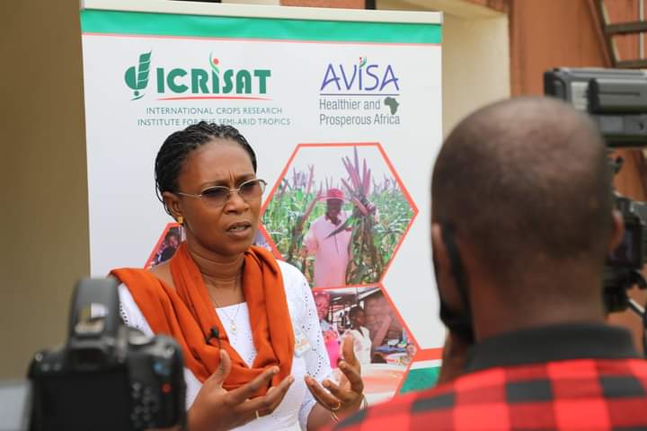 Staffs of #CSIR-#SARI, Dr. E. Martey and Mr. D. Adogoba attend a #workshop on “Demand driven and #Gender Responsive Product Profile Development” at #ICRISAT WCA Samanko research station in #Bamako supported by the #AVISA project.
#AVISA2021