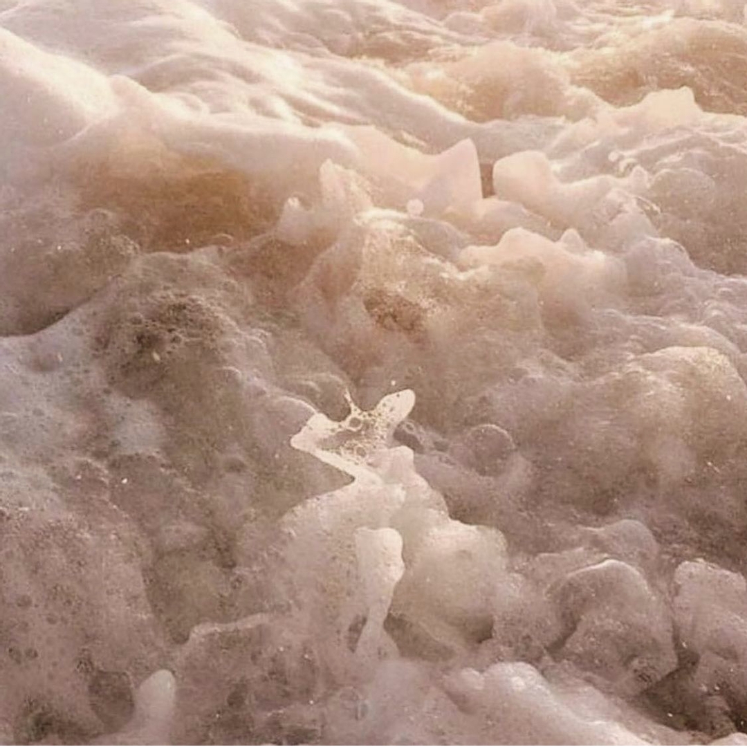 ♢ In need of some Vitamin SEA 🌊🐚 
​cc <a href="/cultofyouth/">Cult Of Youth</a> #InYourDreams ♢