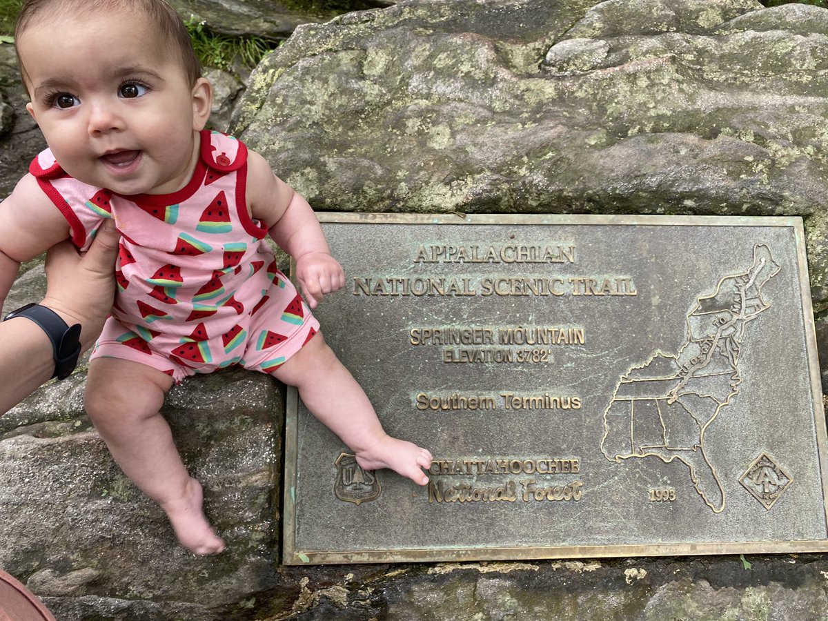 FOX19Catherine's tweet photo. Hiked Makena up to #SpringerMountain - The southernmost end of the Appalachian Trail #BeforeWeSawTheRattleSnake https://t.co/Zv4fqPn74j