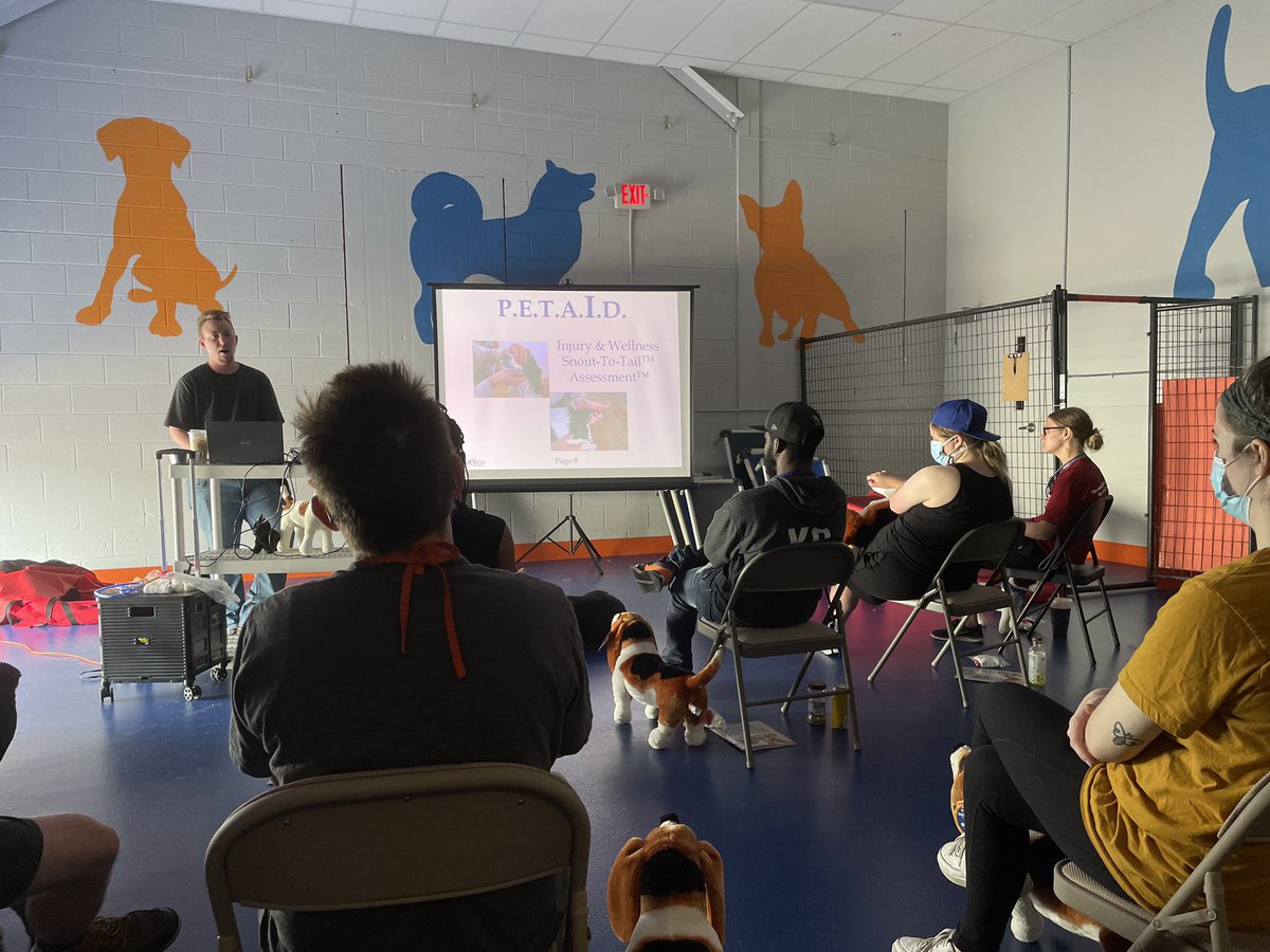 Caninetofive's tweet photo. This month our newest Canine to Five staff members completed their Pet CPR & First Aid certification! Facility Manager, Ben, is our PetTech certified instructor, and teaches our staff pertinent information on canine health every quarter 🐾⛑ #wearesafe #petfirstaid #detroitdogs https://t.co/W5uPAMUFhN