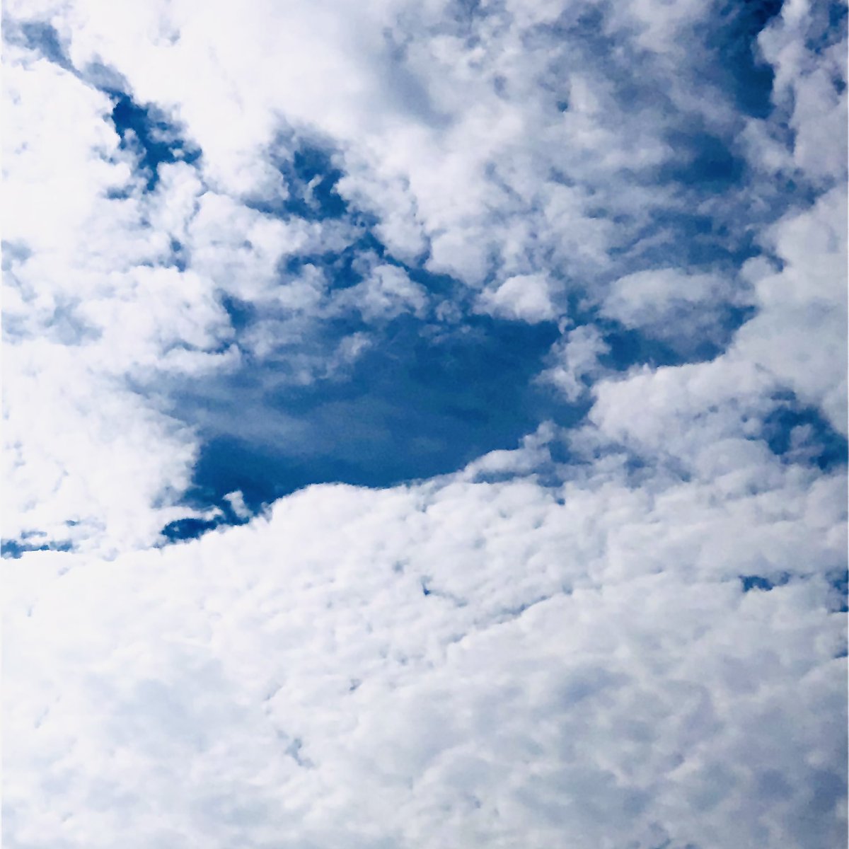havefunyoshi's tweet photo. #今空 #Theskynow
#空 #sky
#雲 #cloud
#雲の奥の青 
#Bluebehindtheclouds
#曇り時々何？
#Sometimescloudywhat
#雲のカーテン
#Cloudcurtain
#ところにより曇り
#Cloudyinsomeplaces
#皆さんとこはどうですか？
#Howabouteveryone?
#ボチボチホドホド
#Aboutlittlebylittle https://t.co/w96PgN57OO