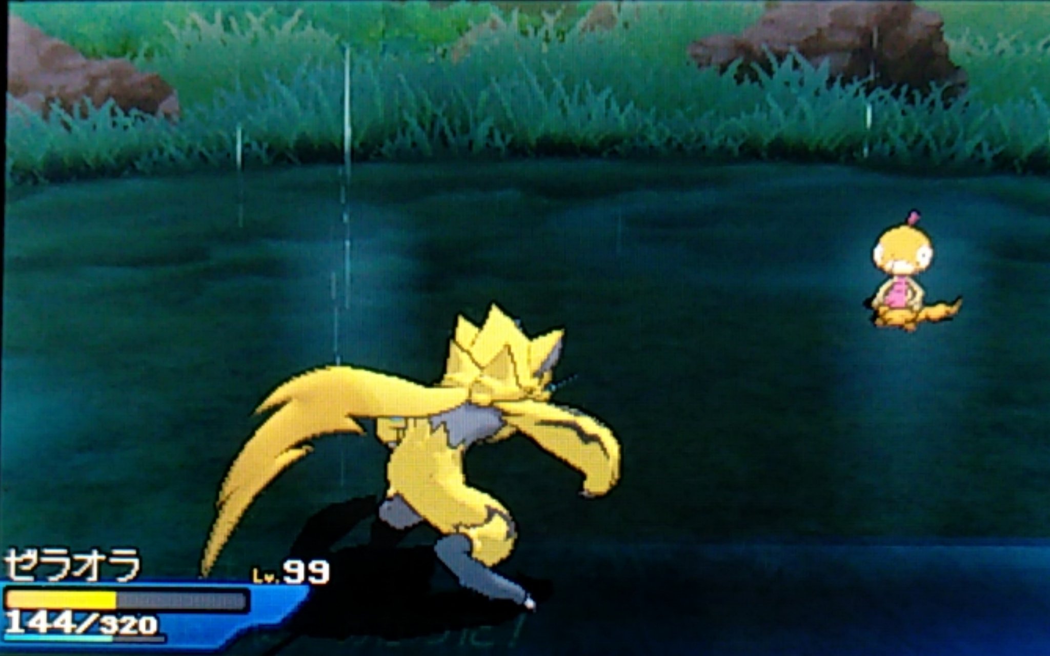 まこと ポケモンアルセウス色厳選 spシェイミ色粘り中 全国図鑑905 905 Kof15練習中 ポケモンウルトラムーン仲間呼びから ひさびさのウルトラムーンからの色違いです 金ズルッグ出ました 微妙に色が違う ポケモン剣盾 ズルッグ 色違い