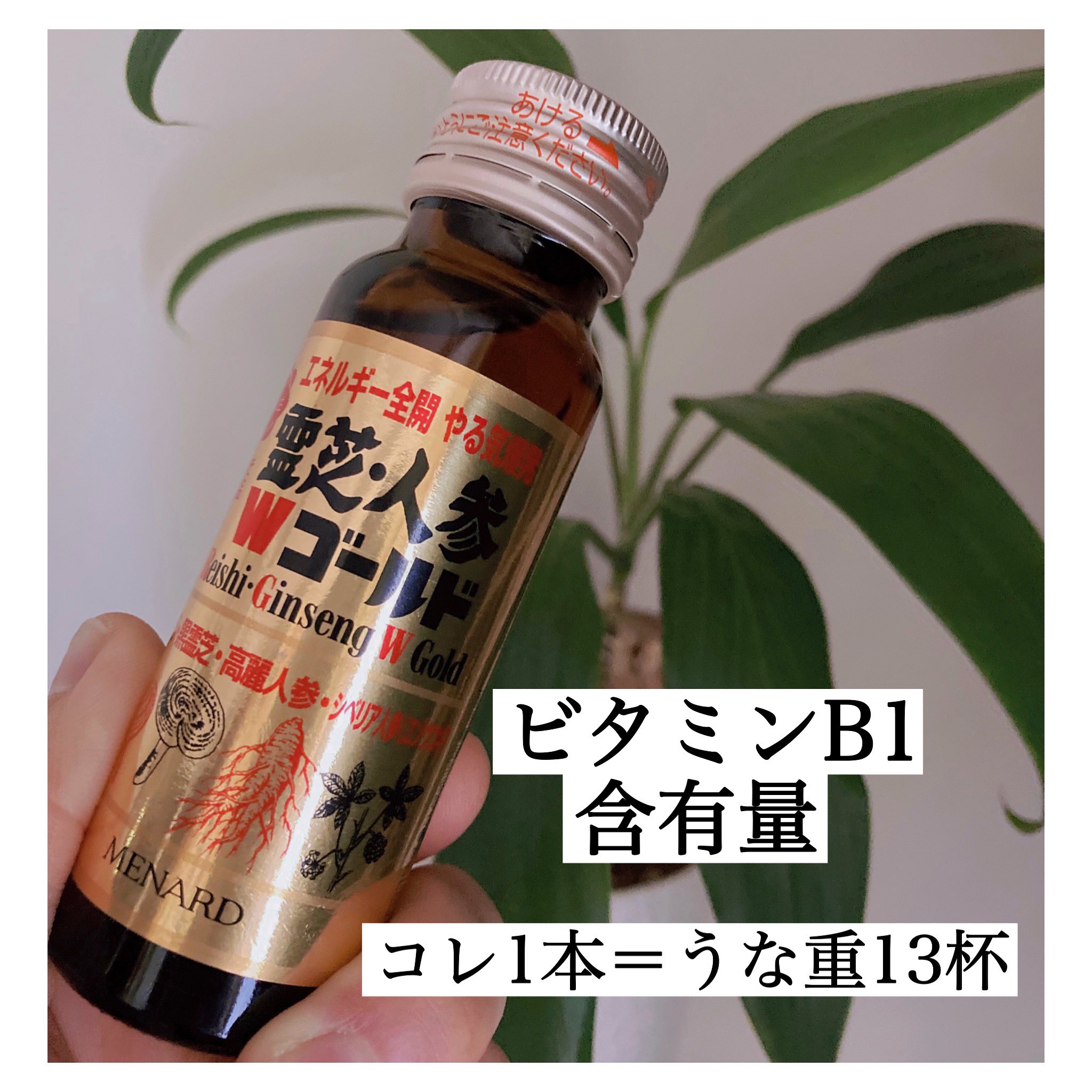 受注生産品】 メナード 霊芝 Wゴールド 人参 その他 - dovery2y.org