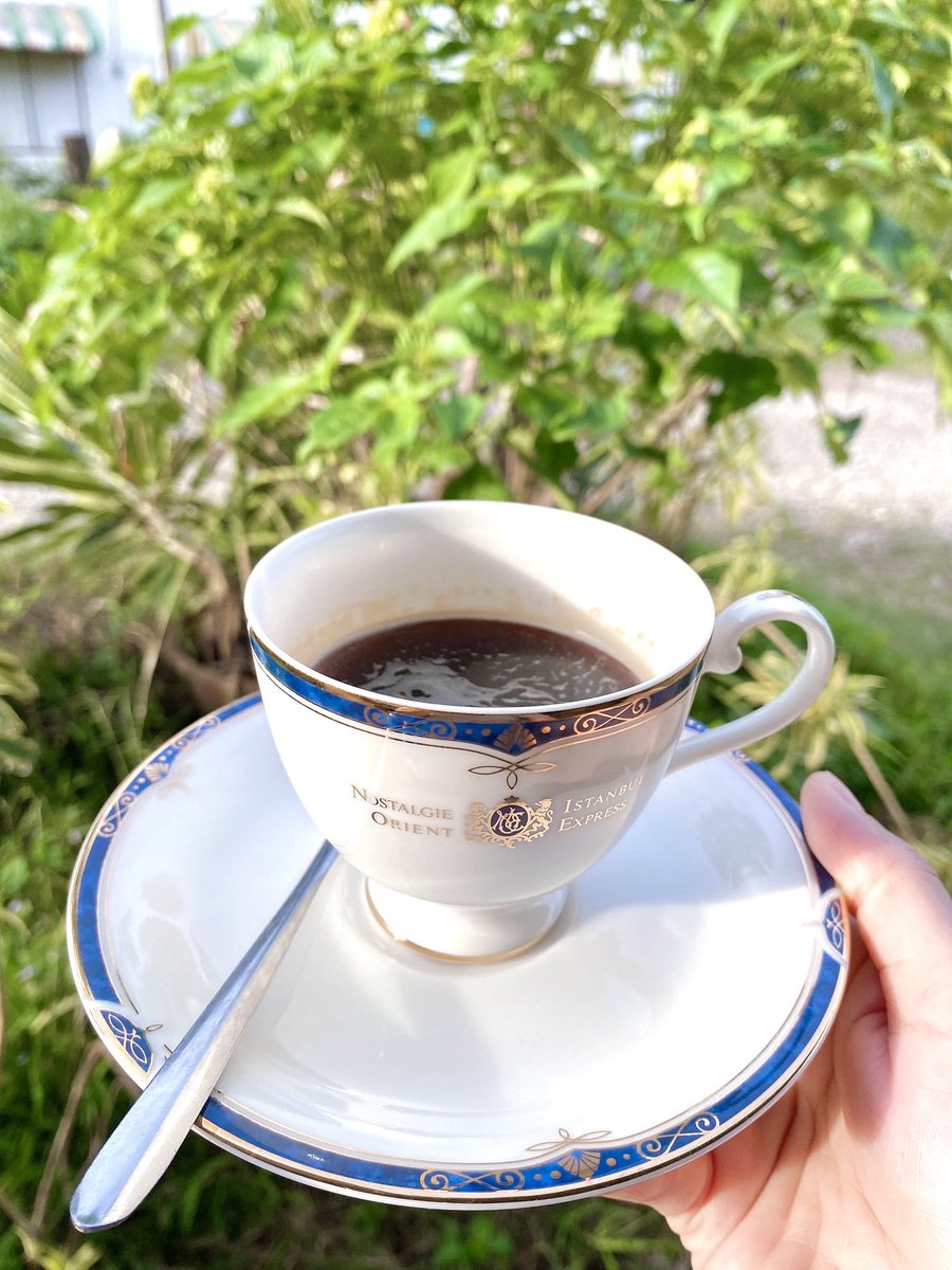 bosanth's tweet image. มอนิ่งงงง ขอให้เป็นวันที่ดี🪴☘️