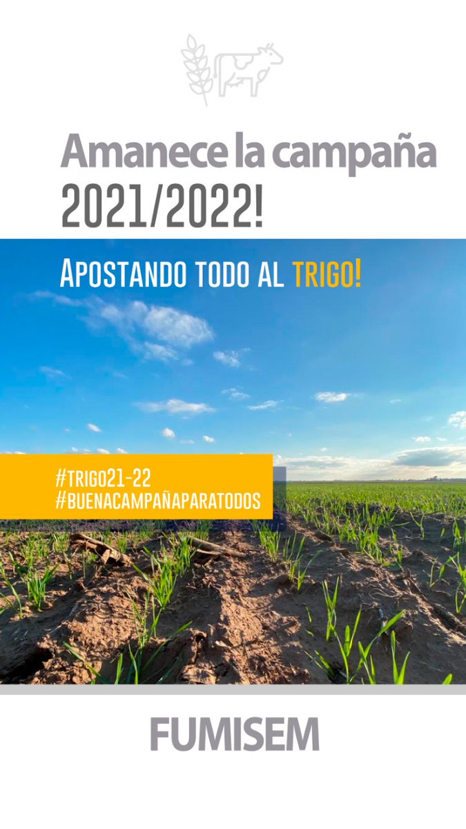 Amanece la campaña 2021-2022!

#buenacampañaparatodos #apostandotodoaltrigo