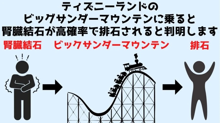 驚きの検証結果 ビッグサンダーマウンテンに腎臓結石を排出させる効果がある 話題の画像プラス