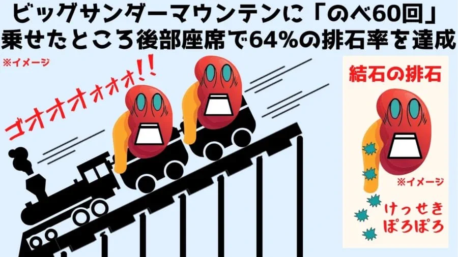 驚きの検証結果！？ビッグサンダーマウンテンに腎臓結石を排出させる効果がある！
