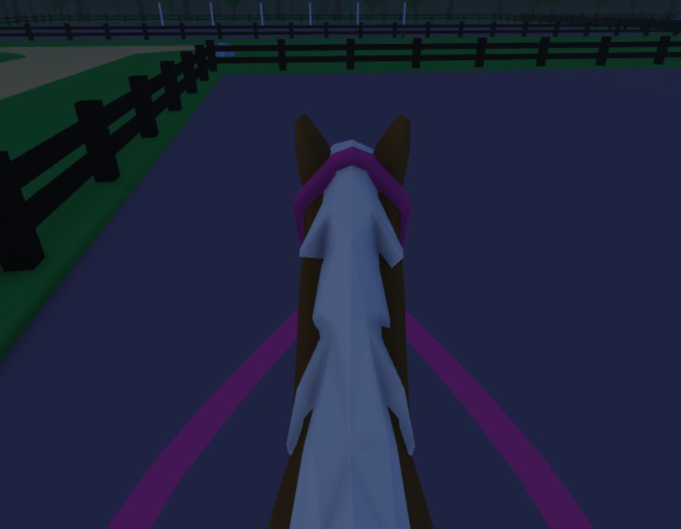 I was up at the crack of dawn to ride Oakley, Noir and Sunset today, who said having 11 horses was all fun and games!