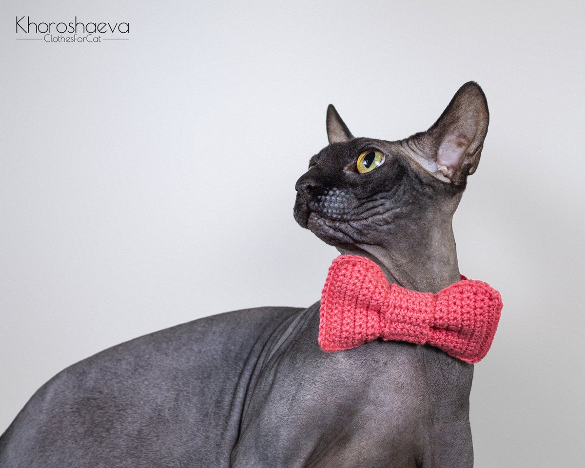 ClothesForCat's tweet photo. Excited to share the latest addition to my #etsy shop: Big bow tie for cat collar crochet pattern PDF// Crochet coral bow tie for small dog and for sphynx https://t.co/7EPib4Gg5m #birthday #crochet #stpatricksday #crochetbowtie #accessoryforsphynx #catcrochetpattern #c https://t.co/9Udrlfwnmq