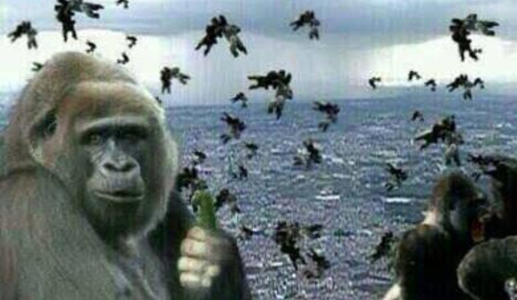 カナイさん ゴリラ豪雨 夕立 ゲリラ豪雨 ゴリラ豪雨 T Co Hl1k6gzh1j Twitter