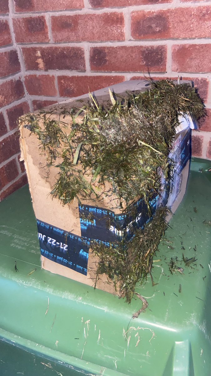 tommoemma's tweet photo. @amazon when your parcel is left in your green bin  so everything is sweated https://t.co/UEsRYo89gD