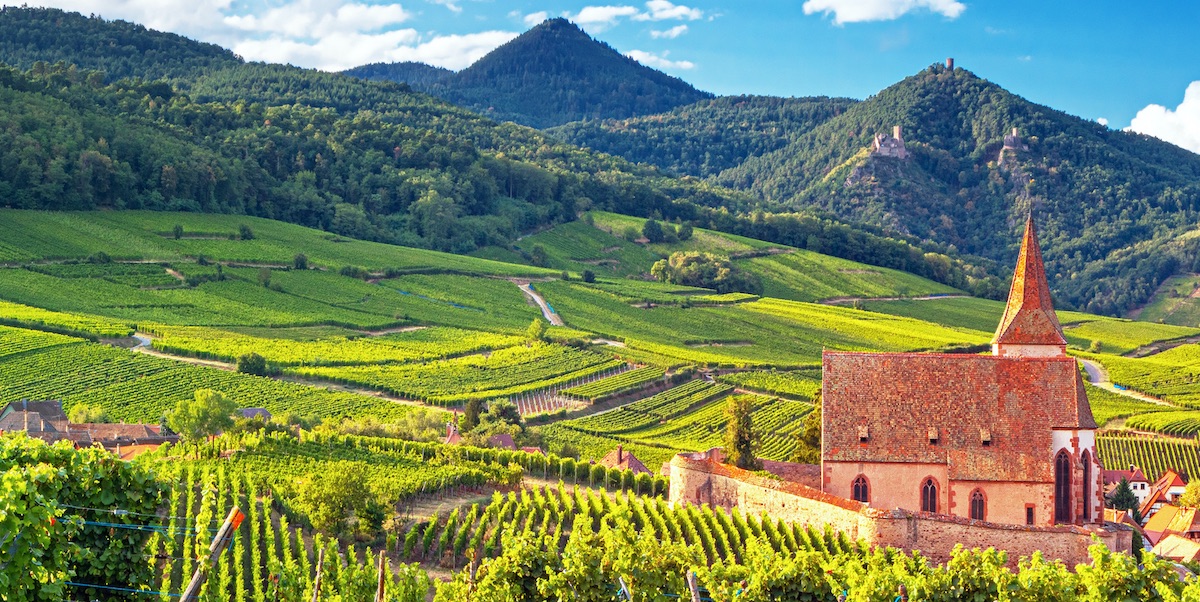 LE RAIDARD tweet media