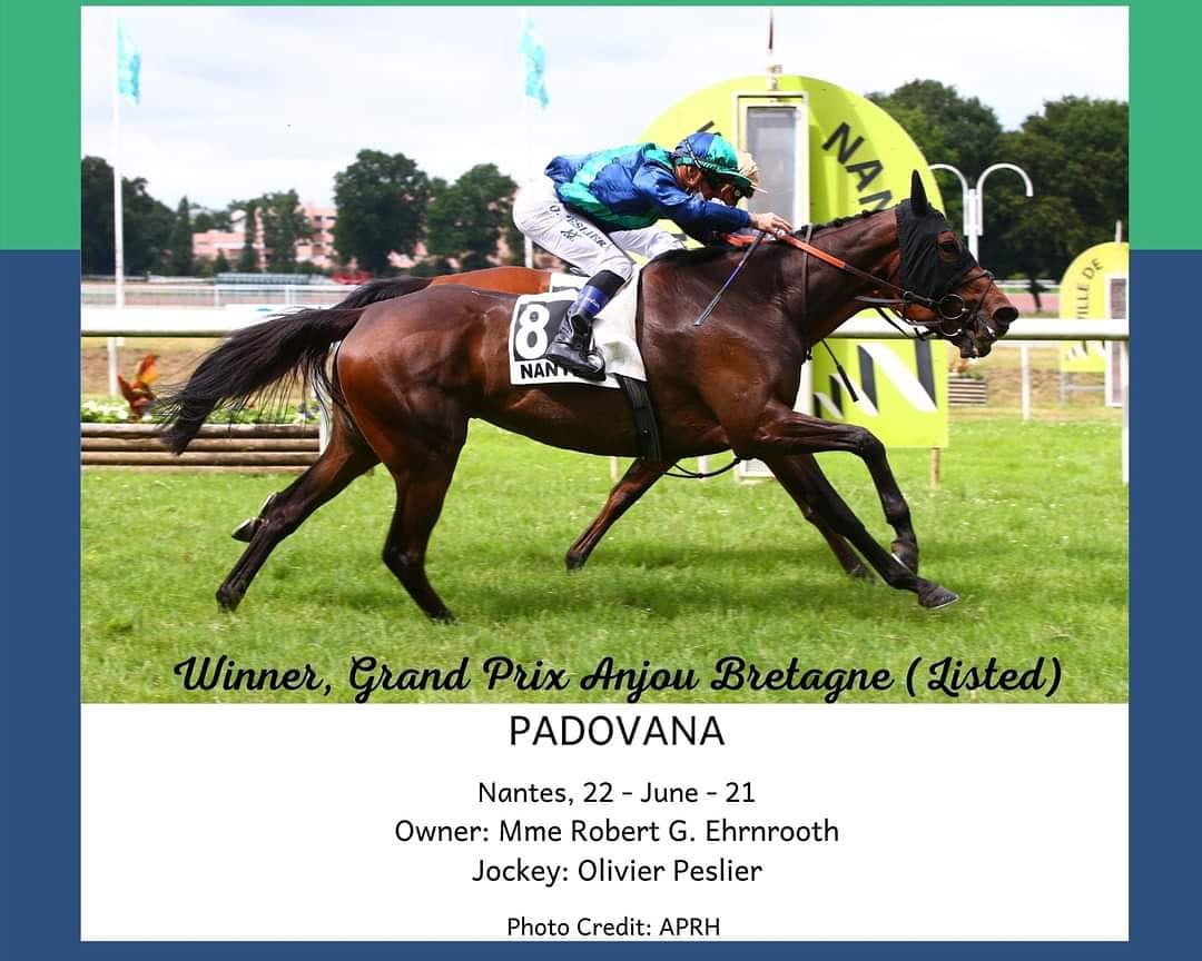 Results 22-June-21 🏆: 
PADOVANA gets her first Listed race victory at #hippodromedenantes, ridden by #olivierpeslier . It is the 3rd win in a row for the daughter of #seathemoon. 
Congratulations to her owner Mme Robert G. Ehrnrooth. #harasdebourgeauville