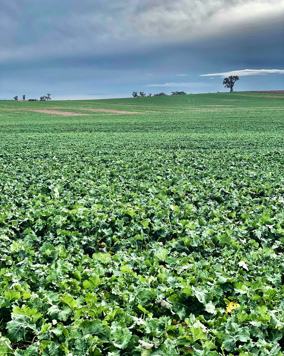 The calm before the storm…