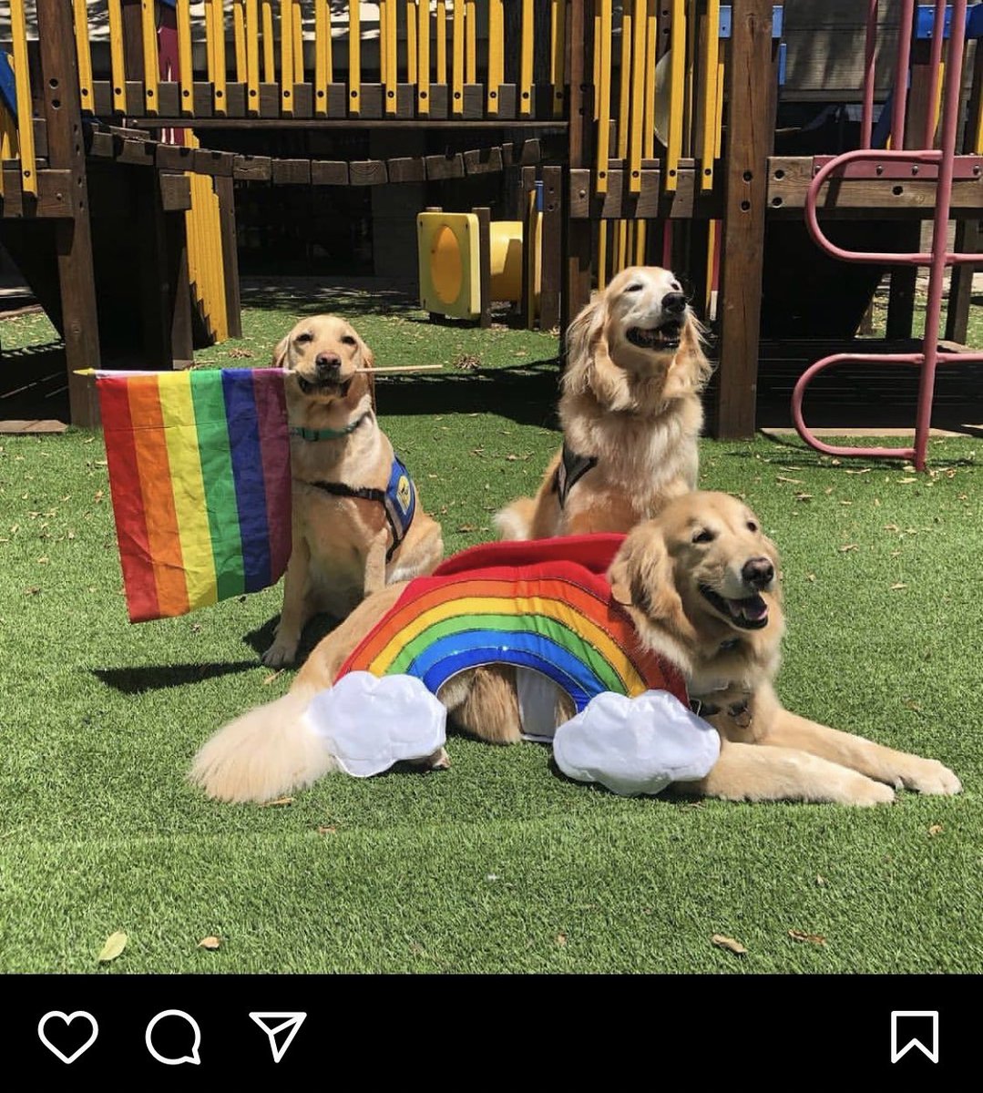 ErikCarlsson's tweet photo. Fin sak att följa i dag fram till matchen:

Hela Tyskland svarar på UEFAS prideförbud under taggen 
#Regenbogenfarben här och på Instagram. https://t.co/WufKyXX7rp