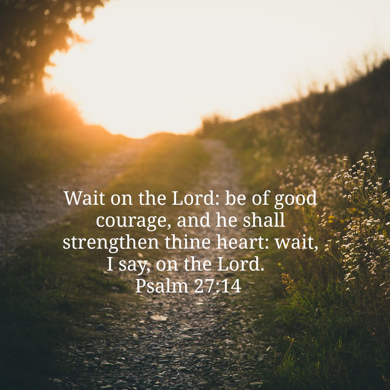 Psalm 48 14 Kjv TravisMatteo psalm-48-14-kjv-travismatteo
