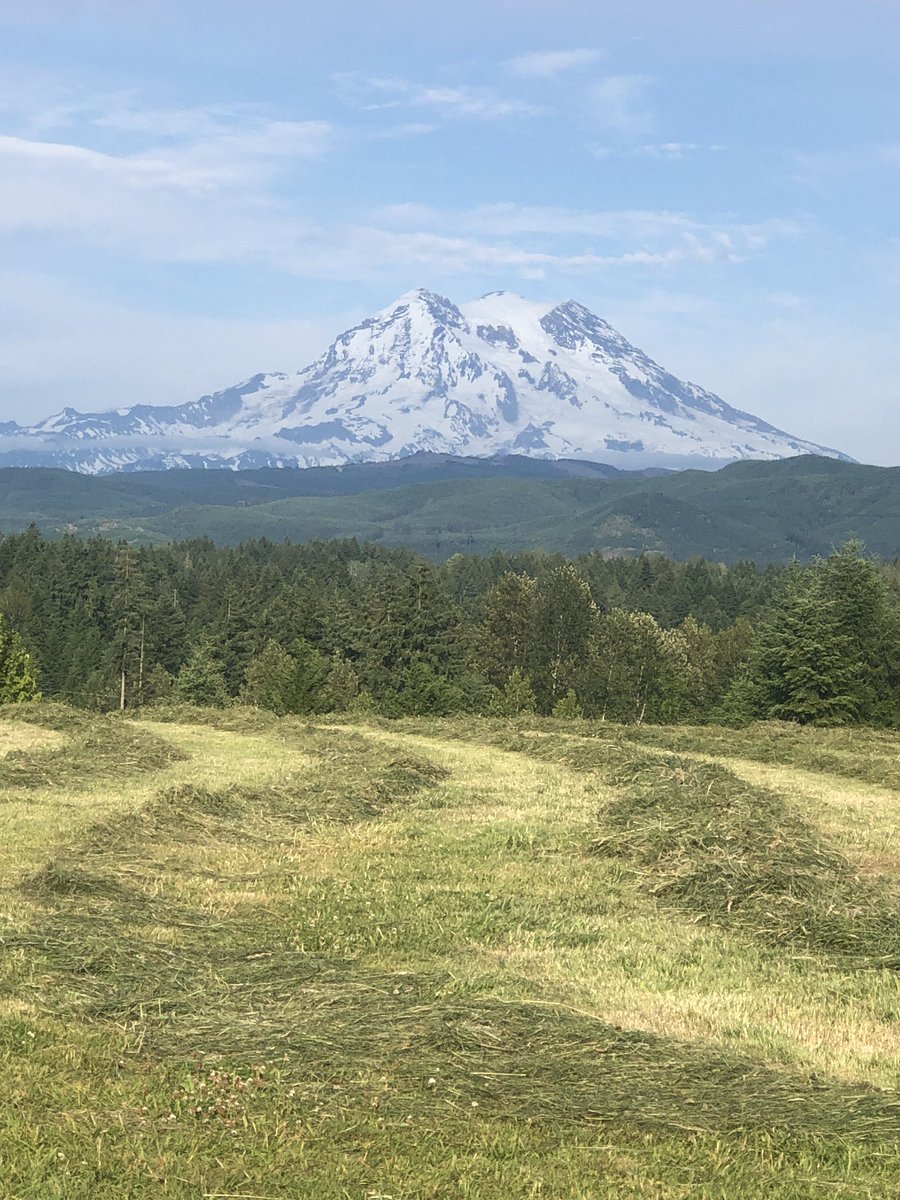 Angelos Dovletoglou (@a_dovletoglou) on Twitter photo Mountain & Hayfield Mountain & Hayfield