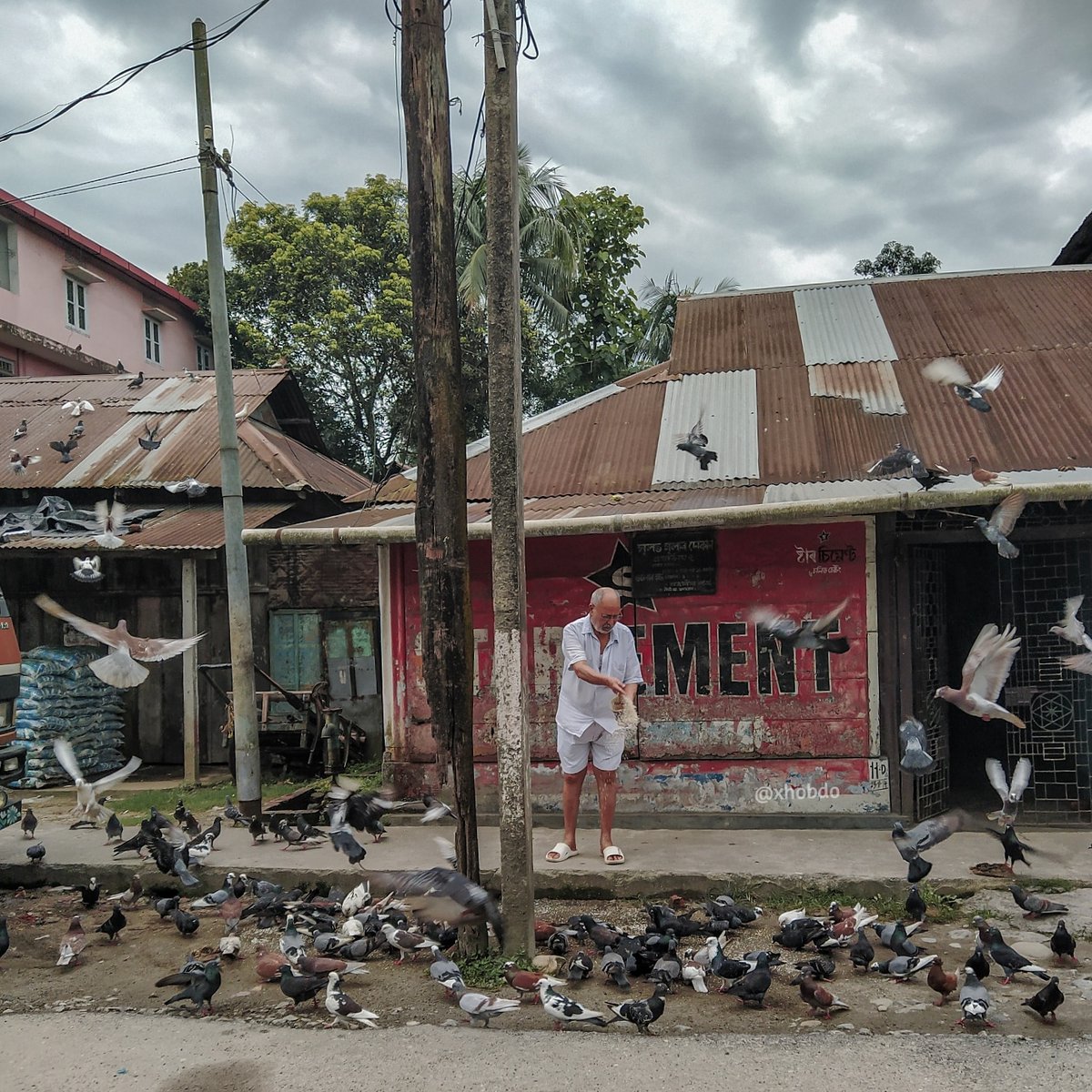 xhobdo's tweet image. Morning Stories 
.
.
[ Stay Safe, Together We Can ]
#birdsfeeding #pegion #birds #birdsoftwitter #streetphotography #Abhayapuri #Assam #অসম #EverydayNEIndia #teampixel #ShotOnMi  #ShotOnMiA3 #xhobdo