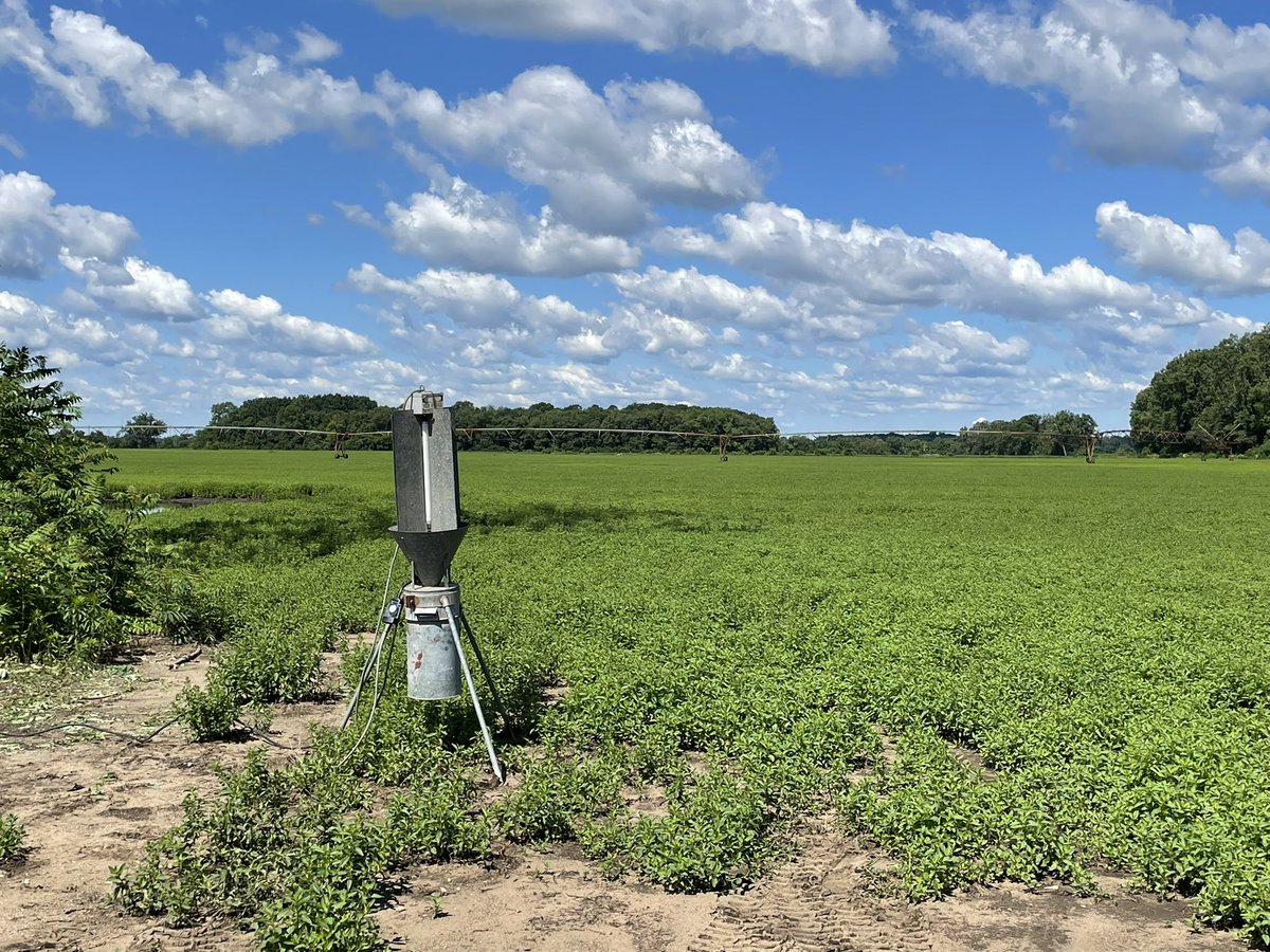 Black light trap is set! ✅

Mint is smelling great! ✅

Just waiting on the Asiatic garden beetles to make their appearance. Summer research is in full swing! 

<a href="/doctorDRich/">Doug Richmond</a> 
<a href="/DrEliLong/">Elizabeth Y Long</a>