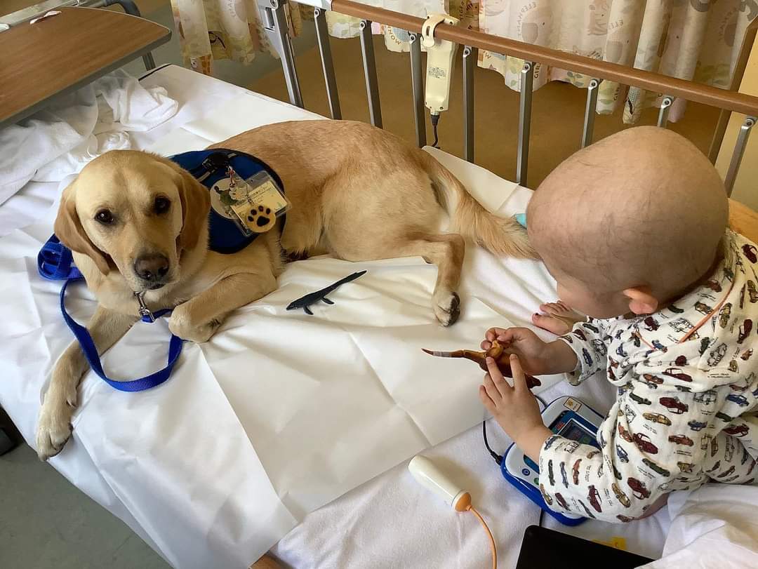 都立小児総合医療センター Tmcmc Pr Twitter