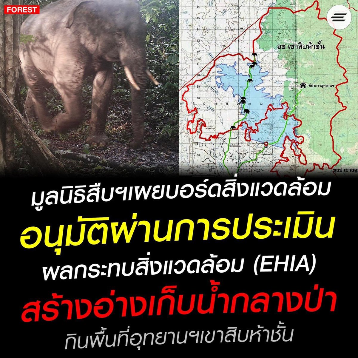 porsparn's tweet photo. เรื่องเงียบมาก ถ้าไม่ได้ตามเพจจริงๆไม่รู้เลยว่าให้ EHIA ผ่านแล้ว ทั้งๆที่เป็นพื้นที่ฟื้นฟู พื้นที่ไว้สำหรับแก้ปัญหาเรื่องช้างออกนอกพื้นที่แต่ก็ยังไม่สนใจ ยังไม่รวมถึงเป็นพื้นที่ที่มีสัตว์เลี้ยงลูกด้วยนมชุกชุมอีกนะ อะไรเอ่ยประเทศนี้ #NODAMมรดกโลกดงพญาเย็นเขาใหญ่ https://t.co/Wz3LRA1Iv0