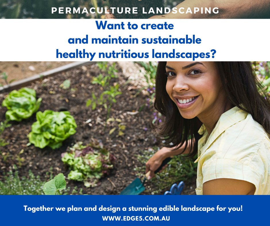 edge5perma's tweet photo. Want to have a more sustainable life? 
Create a landscape that would give you home plate solutions. 
#permacultureaustralia #permaculturecourse #permaculturewa #permaculture https://t.co/xLEFxon4YQ