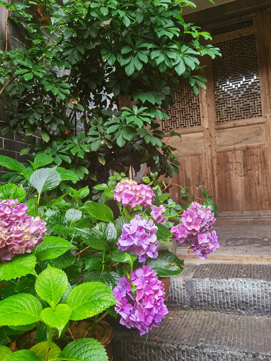 有沈阳的夫妻，情侣吗，交换可私信