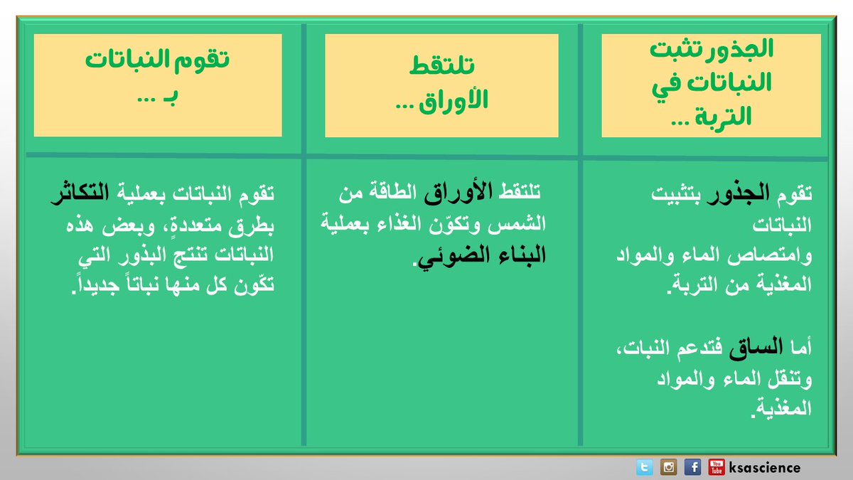 مطويات علوم خامس الفصل الدراسي الأول