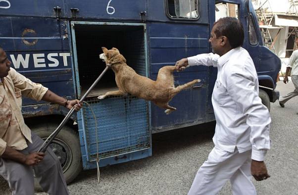 Mumbai Police is back in action against #ArnabGoswami #ArnabIsBack 😂