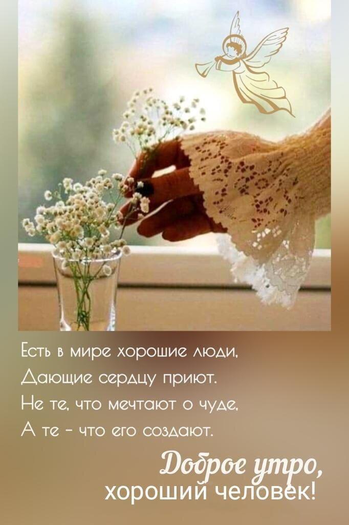 Ольга Парфенова (@parfenowao1) on Twitter photo 