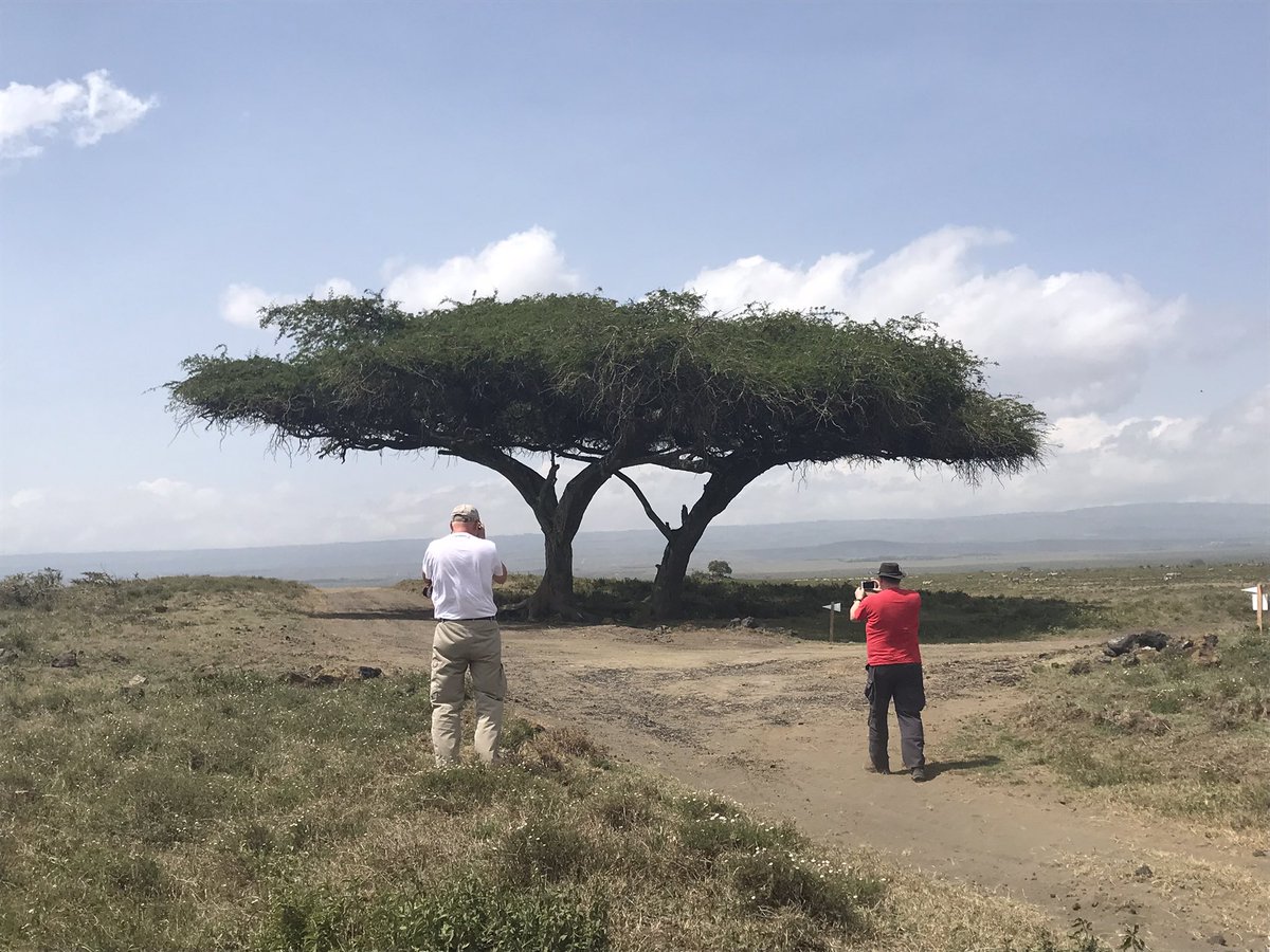 Geoff_Mayes's tweet photo. The last few days have been fun! - media recce with @McKlein_Rally &amp; last night a zoom briefing to all the drivers about how to behave around wild animals, where non other than @SebOgier questioned me about the risks of running 1st on the road…today - shakedown! @wrcsafarirally https://t.co/i0KHDJj4YS