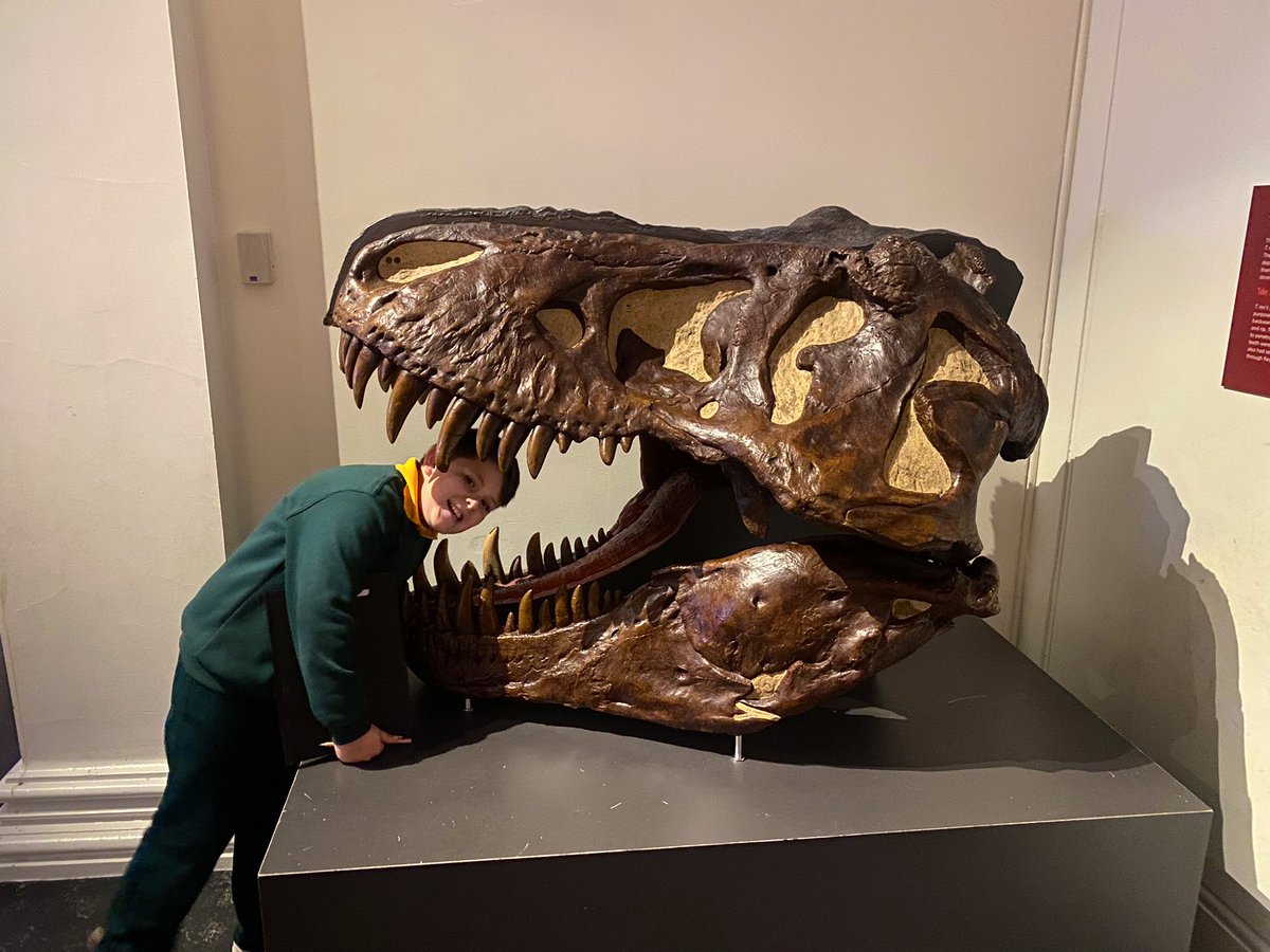 KENSINGTONPS's tweet photo. #65T and #65J are having a great time at the #HydeParkBarracks and #AustralianMuseum! #WeLoveWhereWeLearn https://t.co/Bv1XM0jS9Y