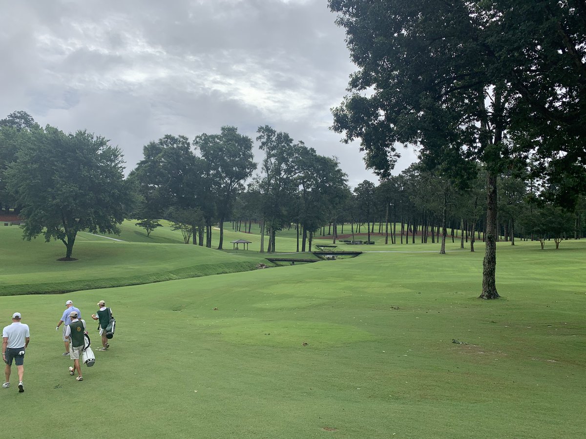 harper_todd's tweet photo. Special day outside of Atlanta at top 30 course Peachtree Golf Club. Bobby Jones and Robert Trent Jones designed a gem that deserves more national attention. https://t.co/wumNFDror9