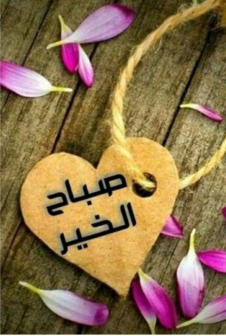 jiiiijp's tweet photo. ☀إشــツـراقات صباحية☀
          🌹  الثلاثاء🌹

بالرضا : تحلو الحياة... 
و بالابتسامة : تهون المشكلات... 
و بالاستغفار : تنقضي الحاجات... 
و بالدُعاء : تتحققْ الـمستحيلات... 

صبـ⛅ـاح الرضا والدعاء https://t.co/Ku4nXUk6Gl