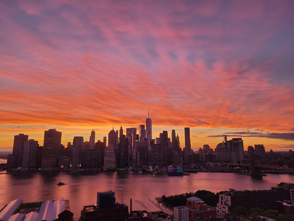 Laurie Garrett tweet media